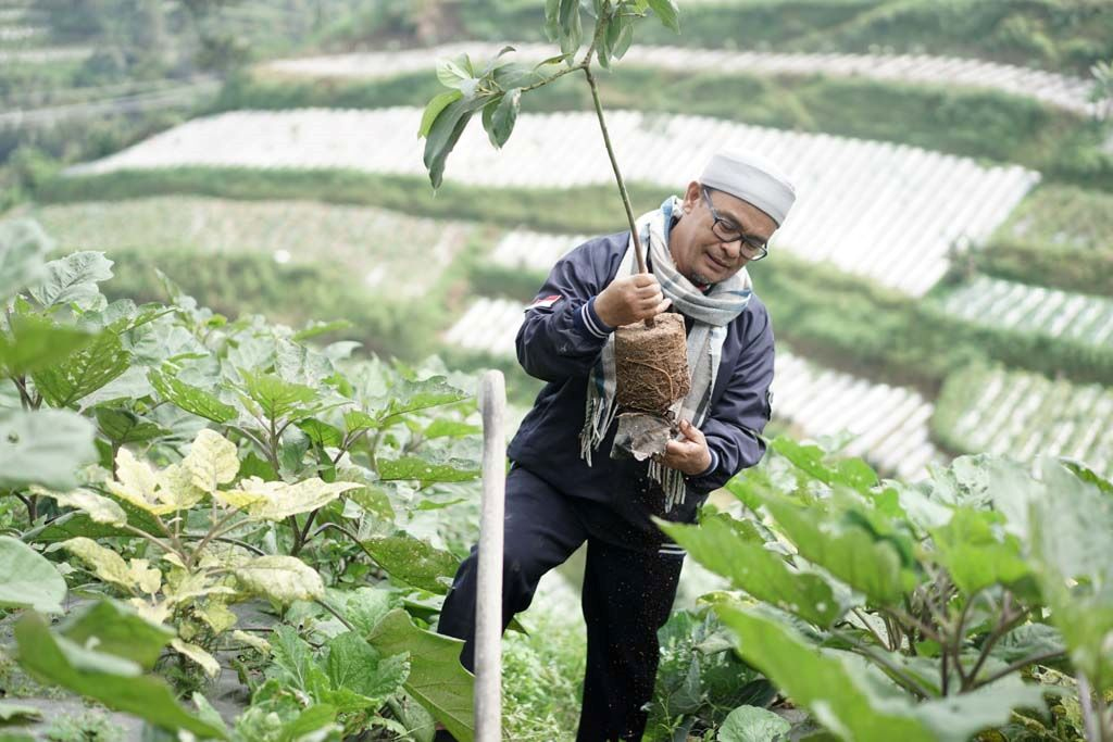 Peringati Hari Lingkungan Hidup Sedunia, Untidar Tanam 2.000 Pohon Alpukat di Negeri Kahyangan&nbsp;Magelang