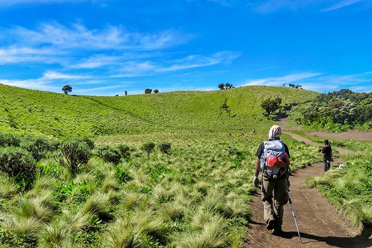 SIMAK !! Jalur Pendakian Merbabu Via Selo Ditutup&nbsp;Sementara
